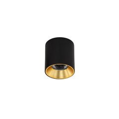 Griestu lampa Altisma CLN-6677-75-BL-GD-3K cena un informācija | Griestu lampas | 220.lv