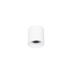 Griestu lampa Altisma CLN-6677-75-WH-4K цена и информация | Потолочные светильники | 220.lv