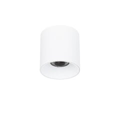 Griestu lampa Altisma CLN-6677-95-WH-3K цена и информация | Потолочные светильники | 220.lv