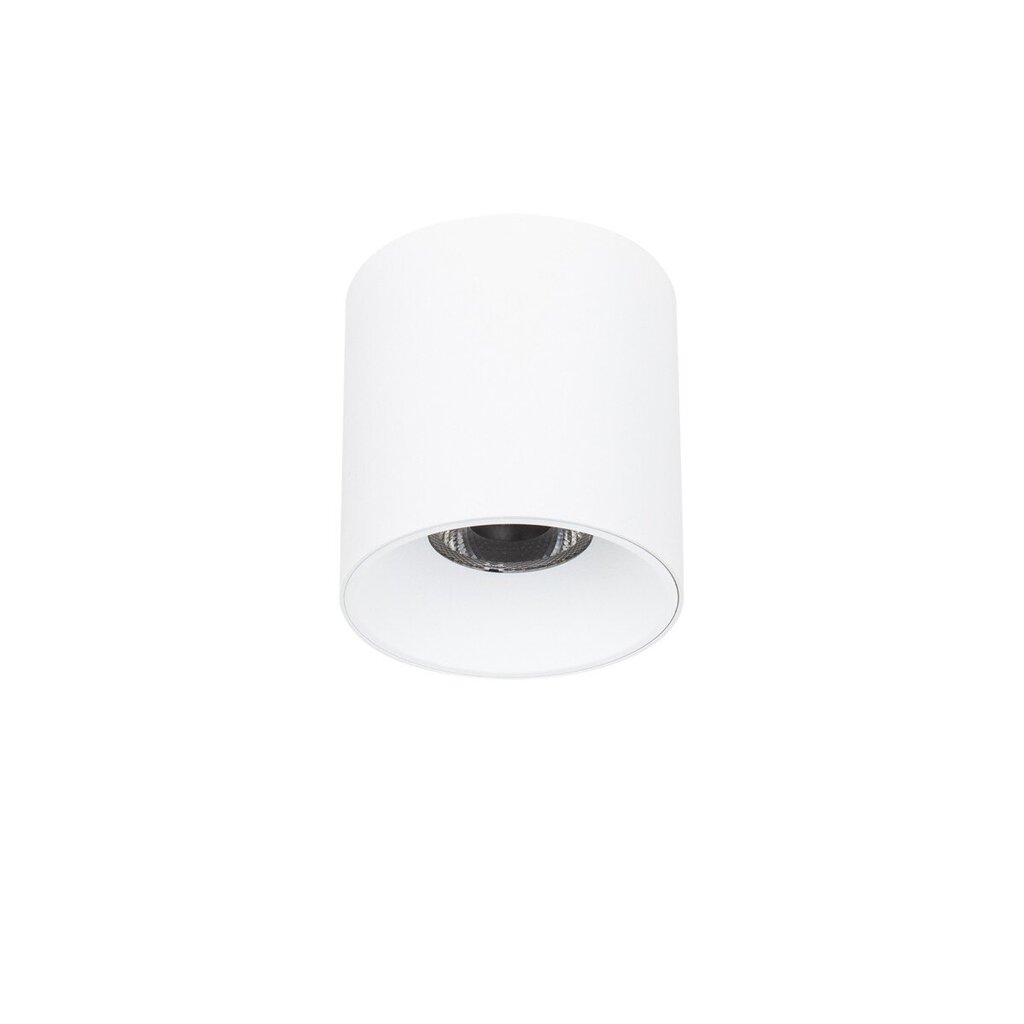 Griestu lampa Altisma CLN-6677-95-WH-3K cena un informācija | Griestu lampas | 220.lv