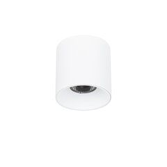 Griestu lampa Altisma CLN-6677-95-WH-4K цена и информация | Потолочные светильники | 220.lv