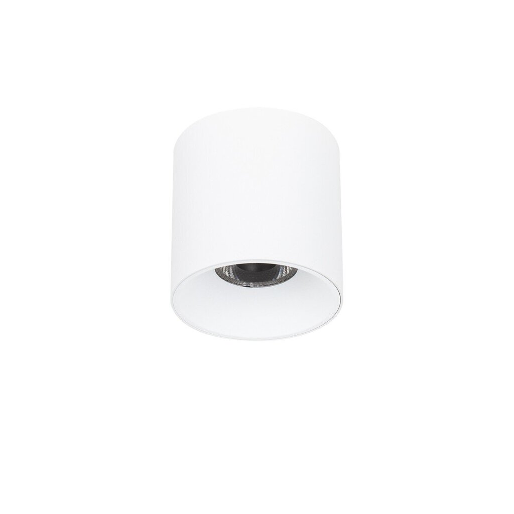 Griestu lampa Altisma CLN-6677-95-WH-4K cena un informācija | Griestu lampas | 220.lv