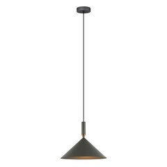 Piekarama lampa Drello PND-541101-GR cena un informācija | Lustras | 220.lv