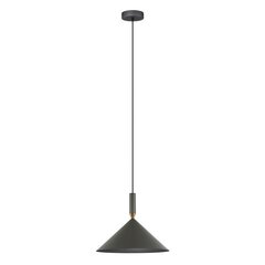 Piekarama lampa Drello PND-541101-GR cena un informācija | Lustras | 220.lv