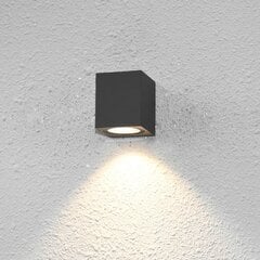 Sienas lampa Genta OWL-2197-1SQ цена и информация | Настенные светильники | 220.lv