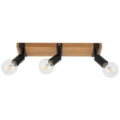 Sienas lampa Molini SPL-2079-3 cena un informācija | Griestu lampas | 220.lv