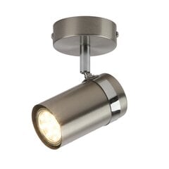 Sienas lampa Palmoni SPL-2024-1 цена и информация | Потолочные светильники | 220.lv