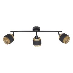 Sienas lampa Renez SPL-95820-3 цена и информация | Потолочные светильники | 220.lv