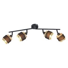 Sienas lampa Renez SPL-95820-4 цена и информация | Потолочные светильники | 220.lv