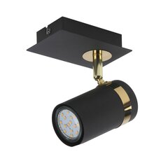 Sienas lampa Verano SPL-2031-1 цена и информация | Потолочные светильники | 220.lv