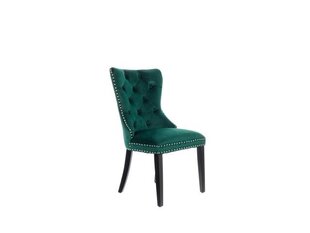 2 krēslu komplekts Brw Charlot, zaļš cena un informācija | Virtuves un ēdamistabas krēsli | 220.lv