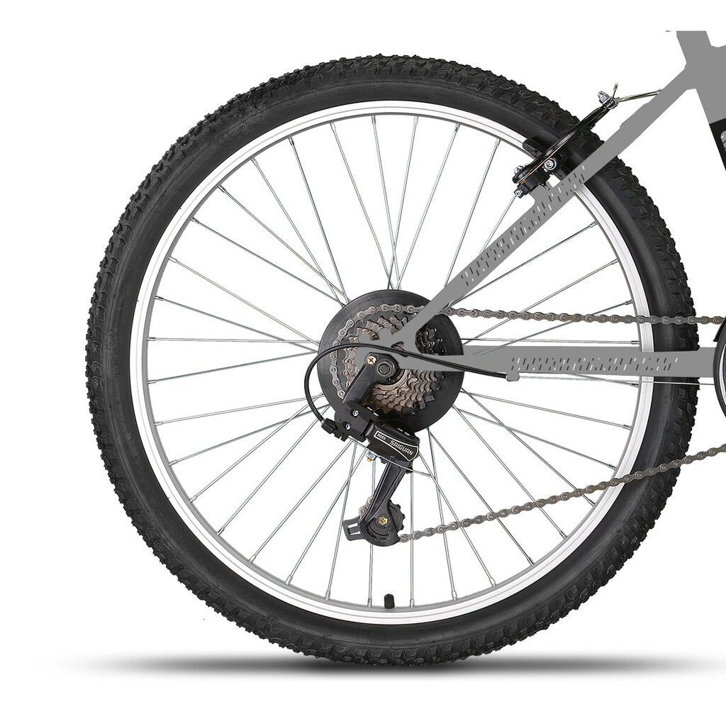 Pusaudžu velosipēds Champions Tempo TMP.2408, 24", pelēks/melns cena un informācija | Velosipēdi | 220.lv