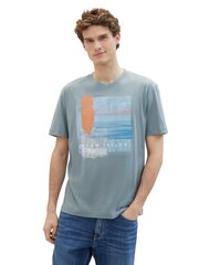 Мужская футболка Tom Tailor, серый цена и информация | Мужские футболки | 220.lv