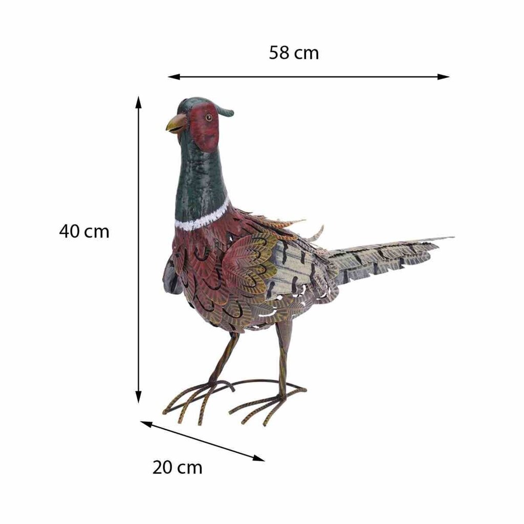Dekoratīvs putns, dažādas krāsas cena un informācija | Dārza dekori | 220.lv