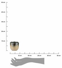Keramikas puķu pods, 8x9 cm cena un informācija | Puķu podi | 220.lv