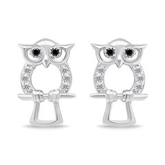 Brilio Silver Игривый комплект серебряных украшений с цирконами Owl SET224W (кулон, серьги) цена и информация | Наборы украшений | 220.lv