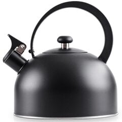 Стальной чайник со свистком, черный, 3 л цена и информация | Чайники, кофейники | 220.lv