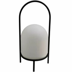 Āra lampa Galix, 53 cm 200 Lm cena un informācija | Āra apgaismojums | 220.lv