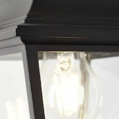 Настенный светильник Brilliant Nissie Внешний E27 60 W Чёрный цена и информация | Уличное освещение | 220.lv