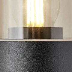 Āra lampa Brilliant Sergioro E27 Melns 20 W цена и информация | Уличное освещение | 220.lv