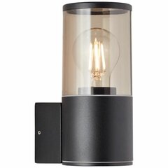Āra lampa Brilliant Sergioro E27 Melns 20 W цена и информация | Уличное освещение | 220.lv