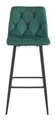 Комплект из 2 стульев, зеленый цена и информация | Стулья для кухни и столовой | 220.lv