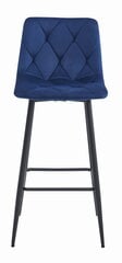 2 krēslu komplekts, zils цена и информация | Стулья для кухни и столовой | 220.lv