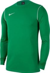Молодежный джемпер Nike JR Park 20, 164 см, зеленый цвет цена и информация | Футбольная форма и другие товары | 220.lv
