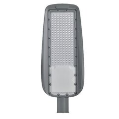 prague smd led уличный светильник 250w 5500k ip65 цена и информация | Уличное освещение | 220.lv