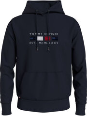 Tommy Hilfiger džemperis vīriešiem I719, zils цена и информация | Мужские толстовки | 220.lv
