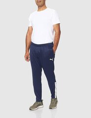 Vīriešu sporta bikses Puma, zilas cena un informācija | Sporta apģērbs vīriešiem | 220.lv