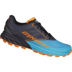 Sporta apavi sievietēm Dynafit 64065 8208, zili cena un informācija | Sporta apavi sievietēm | 220.lv