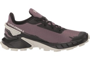 Sporta apavi sievietēm Salomon 417252 21, violeta цена и информация | Спортивная обувь, кроссовки для женщин | 220.lv
