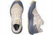 Sporta apavi sievietēm Salomon 472106, bēšs cena un informācija | Sporta apavi sievietēm | 220.lv