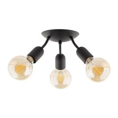 TK Lighting griestu lampa Rubio цена и информация | Потолочные светильники | 220.lv