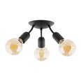 TK Lighting griestu lampa Rubio