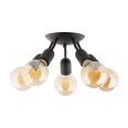 TK Lighting griestu lampa Rubio