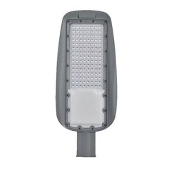 прага smd светодиодный уличный светильник 100w 3000k ip65 высокая эффективность цена и информация | Уличное освещение | 220.lv