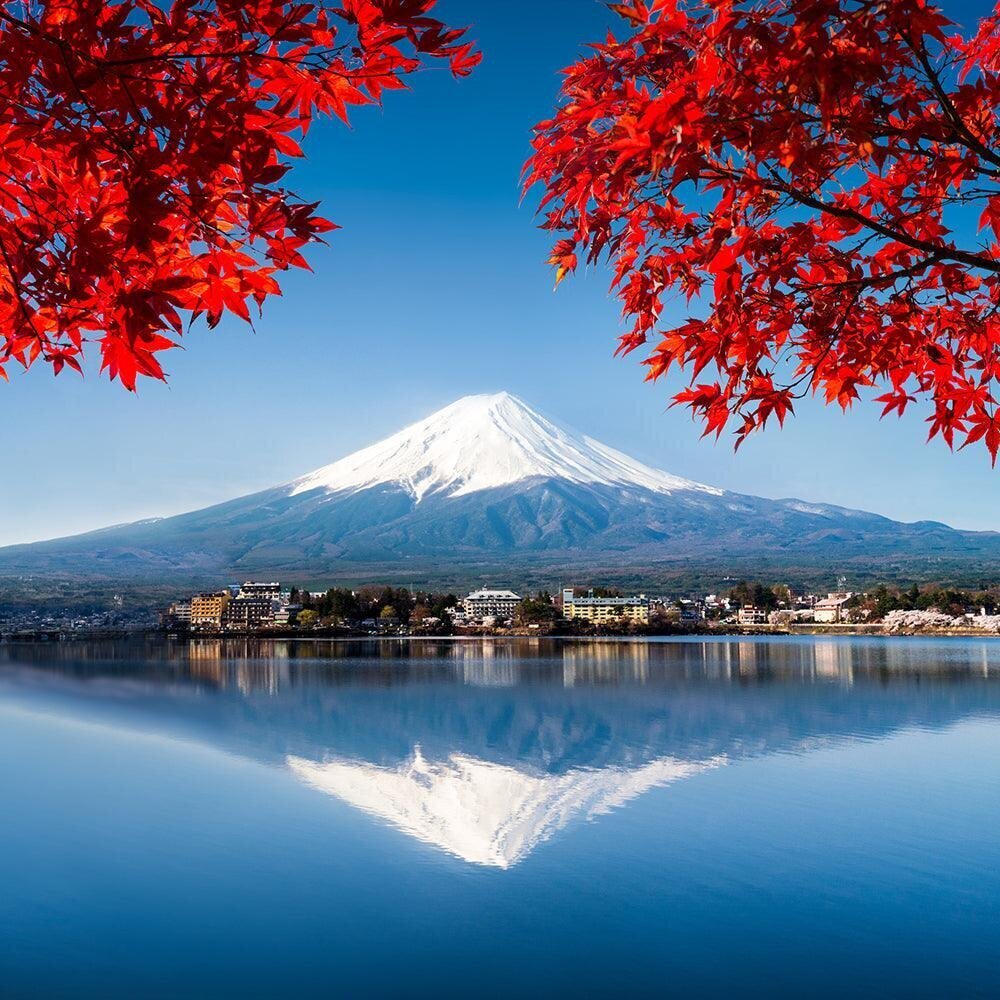 Aizslietnis Fuji kalns un sarkanas lapas cena un informācija | Aizslietņi | 220.lv