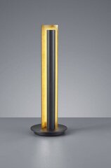 Trio светильник на стол Texel цена и информация | Настольные лампы | 220.lv