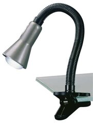 Trio светильник на стол Flexo цена и информация | Настольные лампы | 220.lv