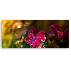 Glezna Orhidejas cena un informācija | Gleznas | 220.lv