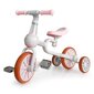 Līdzsvara velosipēds Ecotoys 1191 6", rozā cena un informācija | Balansa velosipēdi | 220.lv