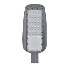 Ielu lampa Prāga 100w 5500k ip65 cena un informācija | Āra apgaismojums | 220.lv