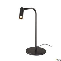 SLV galda lampa Karpo цена и информация | Настольные лампы | 220.lv
