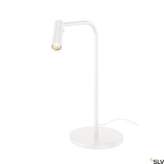 SLV galda lampa Karpo цена и информация | Настольные лампы | 220.lv