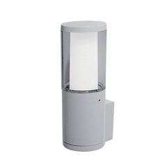 carlo LED dārza sienas lampa 6w cct 4000k ip55 pelēks cena un informācija | Āra apgaismojums | 220.lv