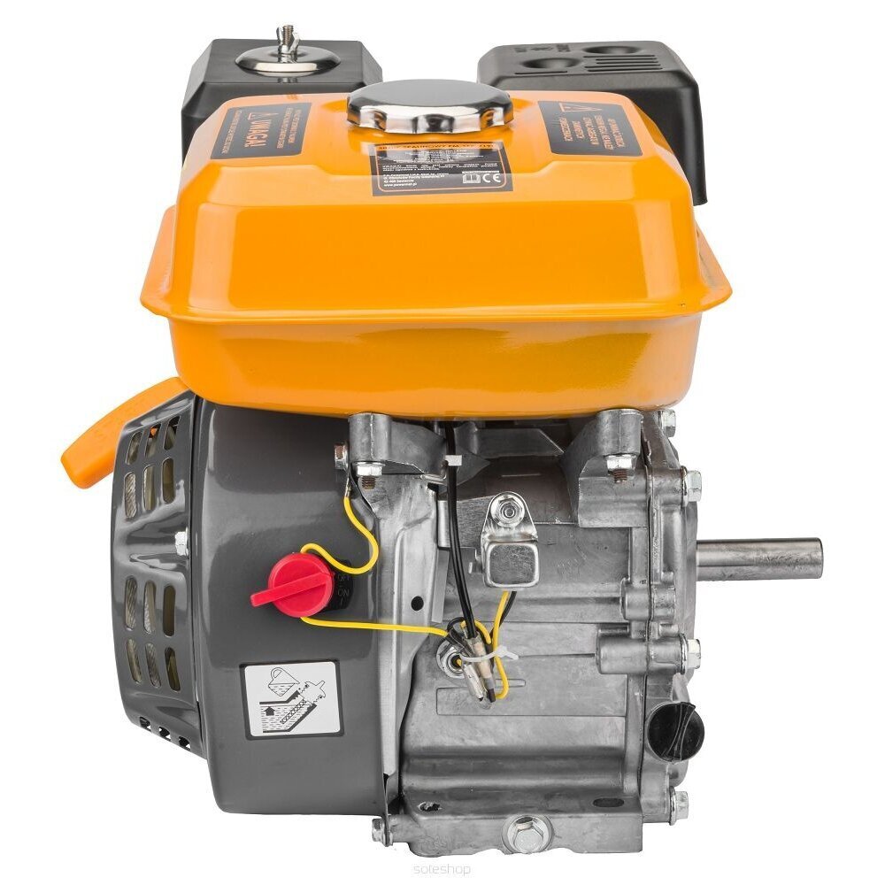 Iekšdedzes dzinējs, GX160 OHV 7HP cena un informācija | Rokas instrumenti | 220.lv