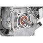 Iekšdedzes dzinējs, GX160 OHV 7HP цена и информация | Rokas instrumenti | 220.lv