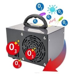 Ozona ģenerators, 2,1 kg цена и информация | Очистители воздуха | 220.lv